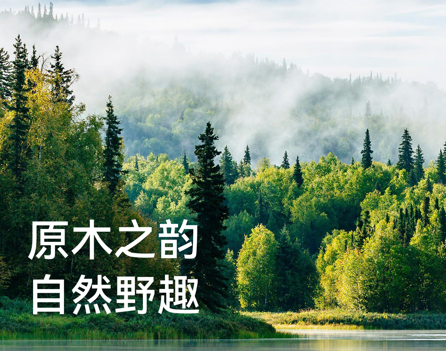 東方云木｜“木”與生活美學(xué)的深情對話